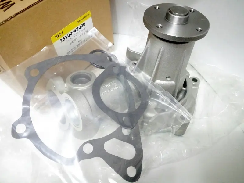 2510042000 Water Pump (Coolant Pump) For Hyundai Grace, Libero, Starex, Porter, Galloper 1