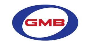 2523945001 Gmb Cooling Fan Clutch For Hyundai Mighty2 96Ps, 118Ps, Gwhy-22F 1