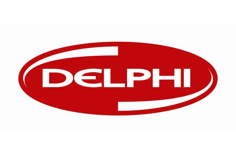 331004X700 331004X710 Genuine Delphi Diesel Fuel Pump For Hyundai Terracan 2001~2006, Grand Carnival 2005~2006, Bongo3 1Ton, 1.4Ton 2004~2006, Carnival 1998~2005, Pregio 1996~2005 1