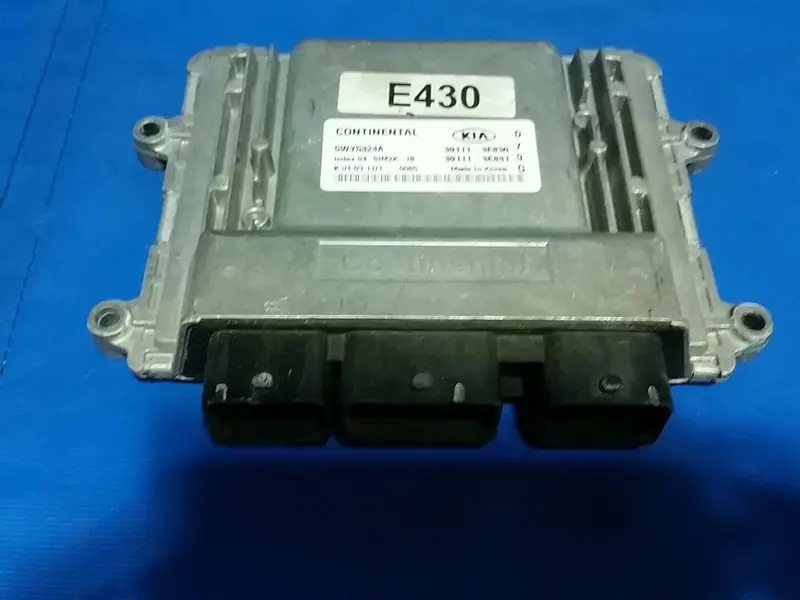 391113E830 Used Ecu(Electronvic Control Unit) For Kia Grand Carnival 1
