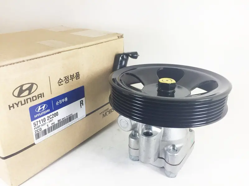 571102C200 571002C200 Genuine Unit Pump Assembly For Hyundai Tuscani 1