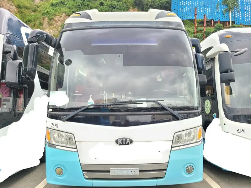 Kia Granbird Used Bus 2010 Blue Sky 1